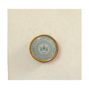 Lapel Pin